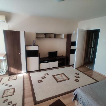 Eric'S Cozy Apartment Тимишоара Экстерьер фото