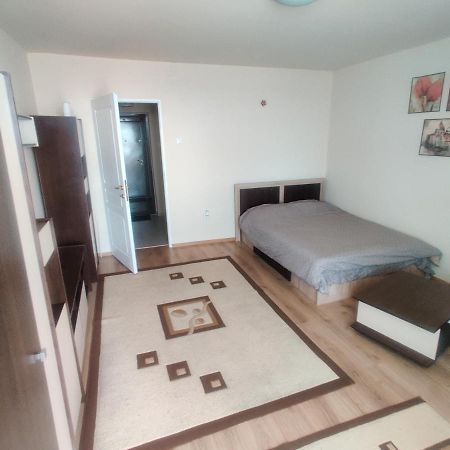 Eric'S Cozy Apartment Тимишоара Экстерьер фото