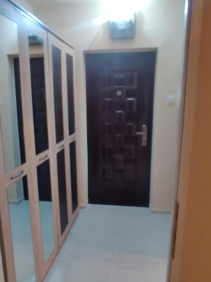 Eric'S Cozy Apartment Тимишоара Экстерьер фото