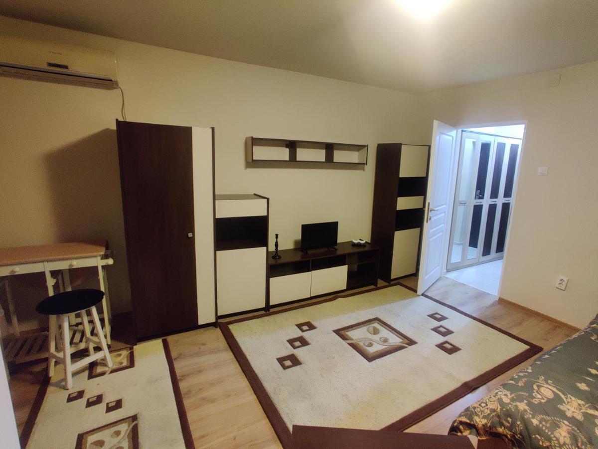 Eric'S Cozy Apartment Тимишоара Экстерьер фото