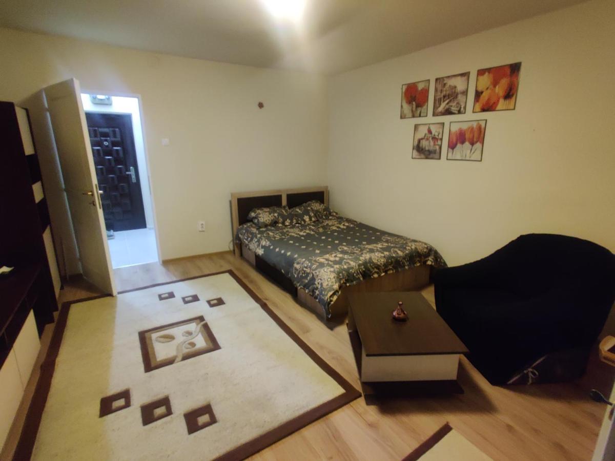 Eric'S Cozy Apartment Тимишоара Экстерьер фото