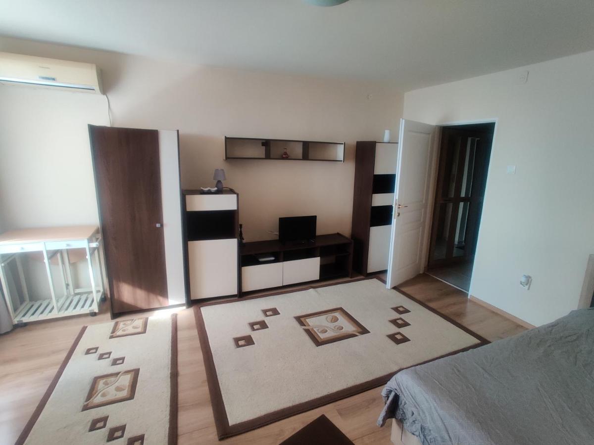 Eric'S Cozy Apartment Тимишоара Экстерьер фото