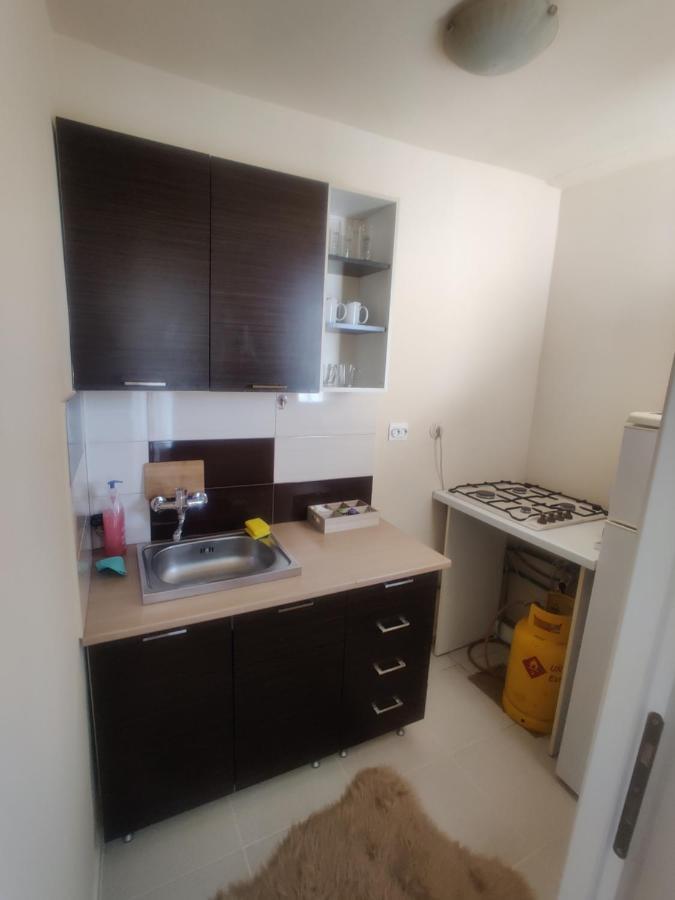 Eric'S Cozy Apartment Тимишоара Экстерьер фото