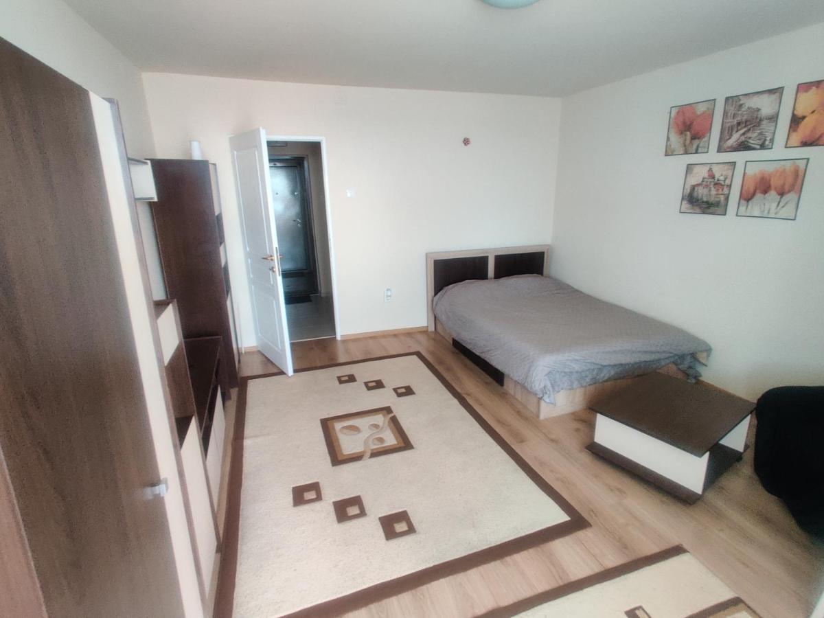 Eric'S Cozy Apartment Тимишоара Экстерьер фото