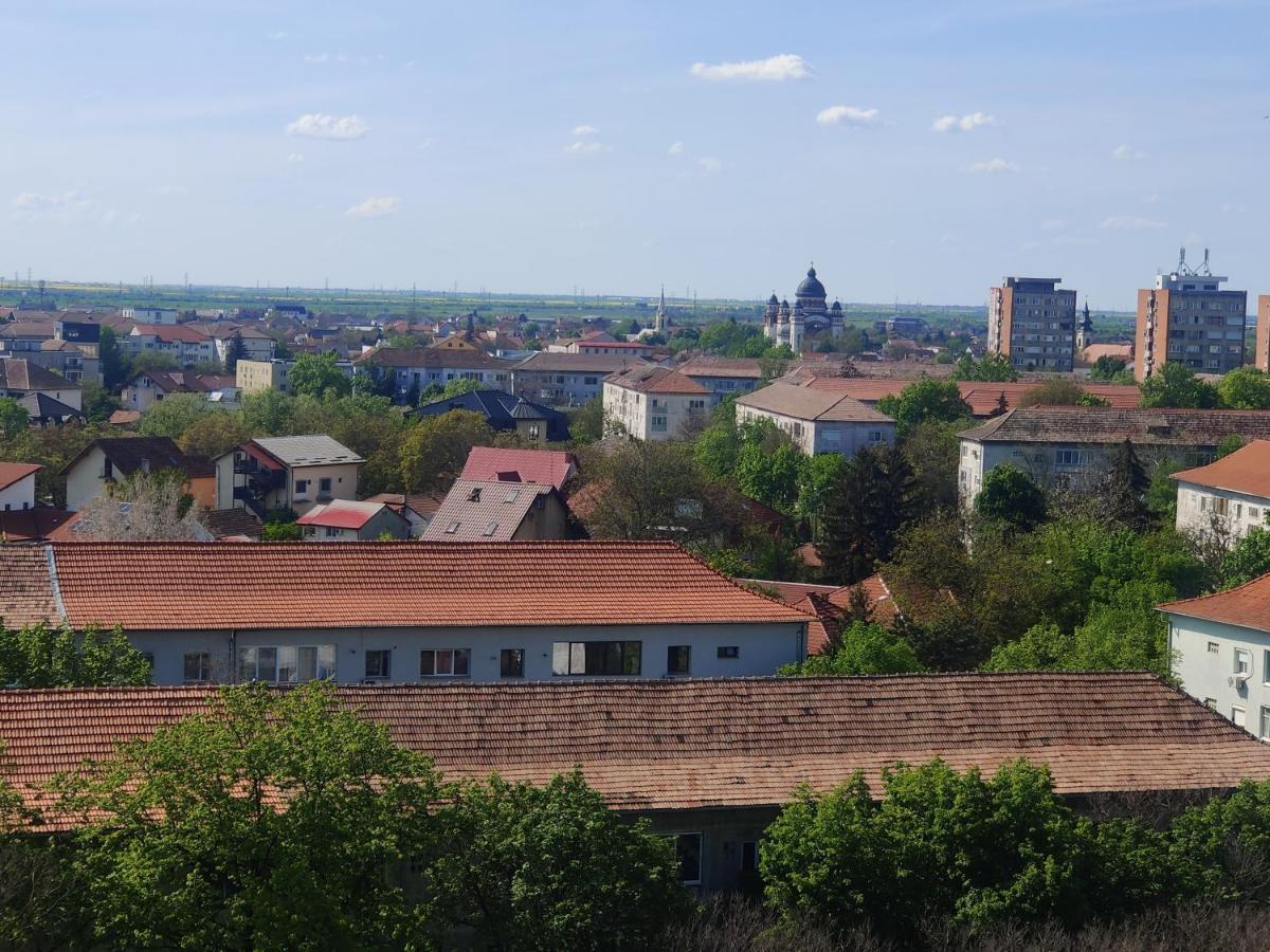 Eric'S Cozy Apartment Тимишоара Экстерьер фото